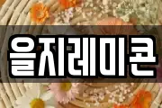 을지레미콘