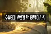 수뷰티피부앤경락 평택마사지