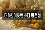 더하노이풋앤바디 평촌점