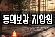 동의보감 지압원