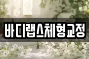 바디랩스체형교정