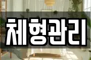 체형관리