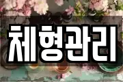 체형관리
