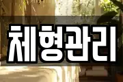 체형관리
