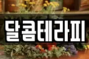 달콤테라피
