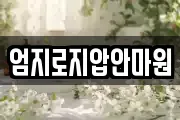엄지로지압안마원