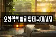 경기 오산시 원동 마사지, 지압등 업체정보