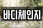 바디체인지