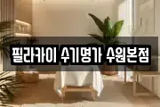 필라카이 수기명가 수원본점