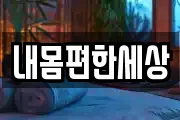 내몸편한세상