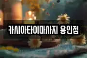 경기 용인시 기흥구 동백동 마사지, 지압등 업체정보