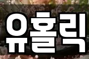 유홀릭