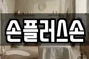 손플러스손