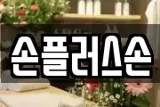 손플러스손