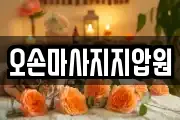 경기 용인시 기흥구 하갈동 마사지, 지압등 업체정보