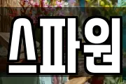 스파원