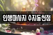 경기 용인시 수지구 마사지, 지압등 업체정보
