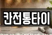 칸전통타이