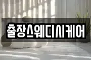 출장스웨디시케어