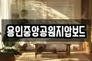 용인중앙공원지압보드