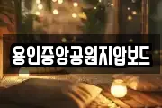 용인중앙공원지압보드