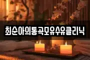 경기 용인시 처인구 운학동 마사지, 지압등 업체정보