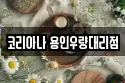 코리아나 용인우량대리점
