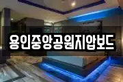 용인중앙공원지압보드