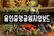 용인중앙공원지압보드