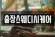 출장스웨디시케어