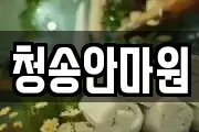 청송안마원