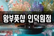 왕부풋샵 인덕원점