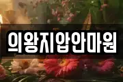 경기 의왕시 오전동 마사지, 지압등 업체정보