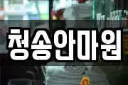 청송안마원
