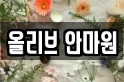 올리브 안마원