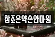 참조은약손안마원