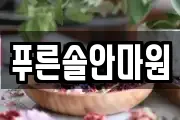 푸른솔안마원