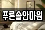 푸른솔안마원