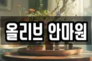 올리브 안마원