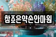 참조은약손안마원