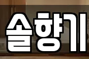 솔향기