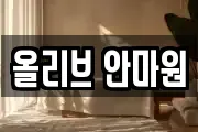 올리브 안마원