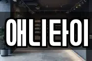 애니타이