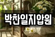 박찬일지압원