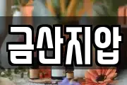 금산지압