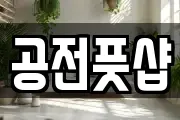 공전풋샵