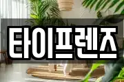 타이프렌즈