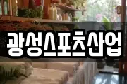 광성스포츠산업