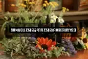 장비박사미니포크레인굴삭기덤프크레인스카이펌프카바브켓로라