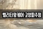 벨리타맘케어 고양파주점